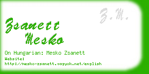 zsanett mesko business card